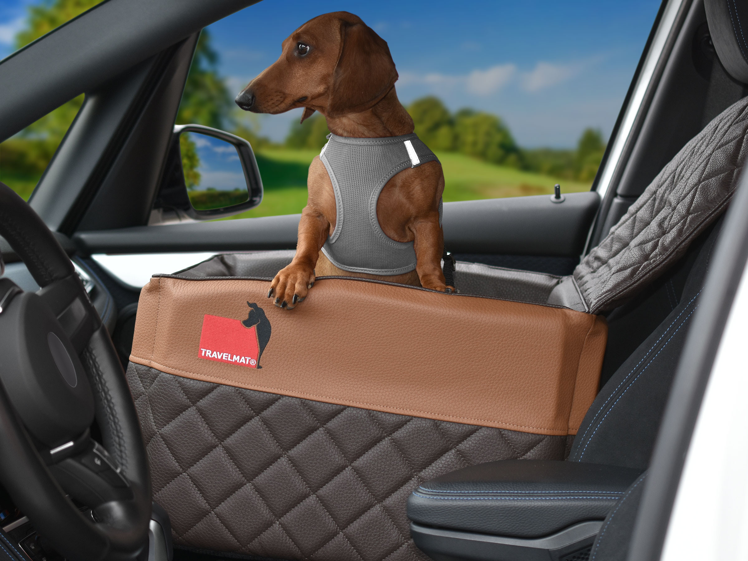 TIERVITAL NATURPRODUKTE - Auto Vordersitz ONE Hundetransportbett