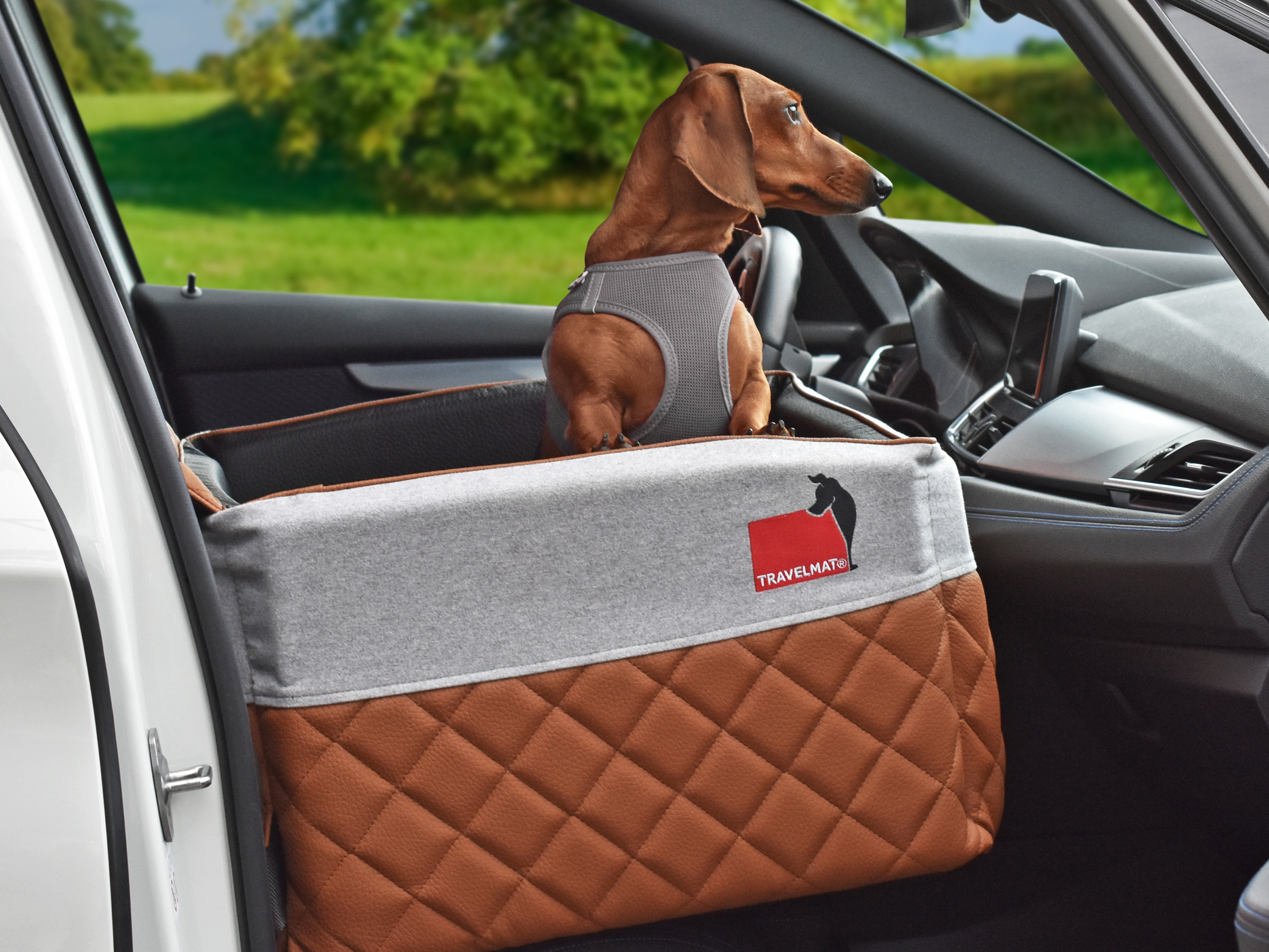Großer Autositz für Hunde Hundematte für Auto Hundebett Autositz