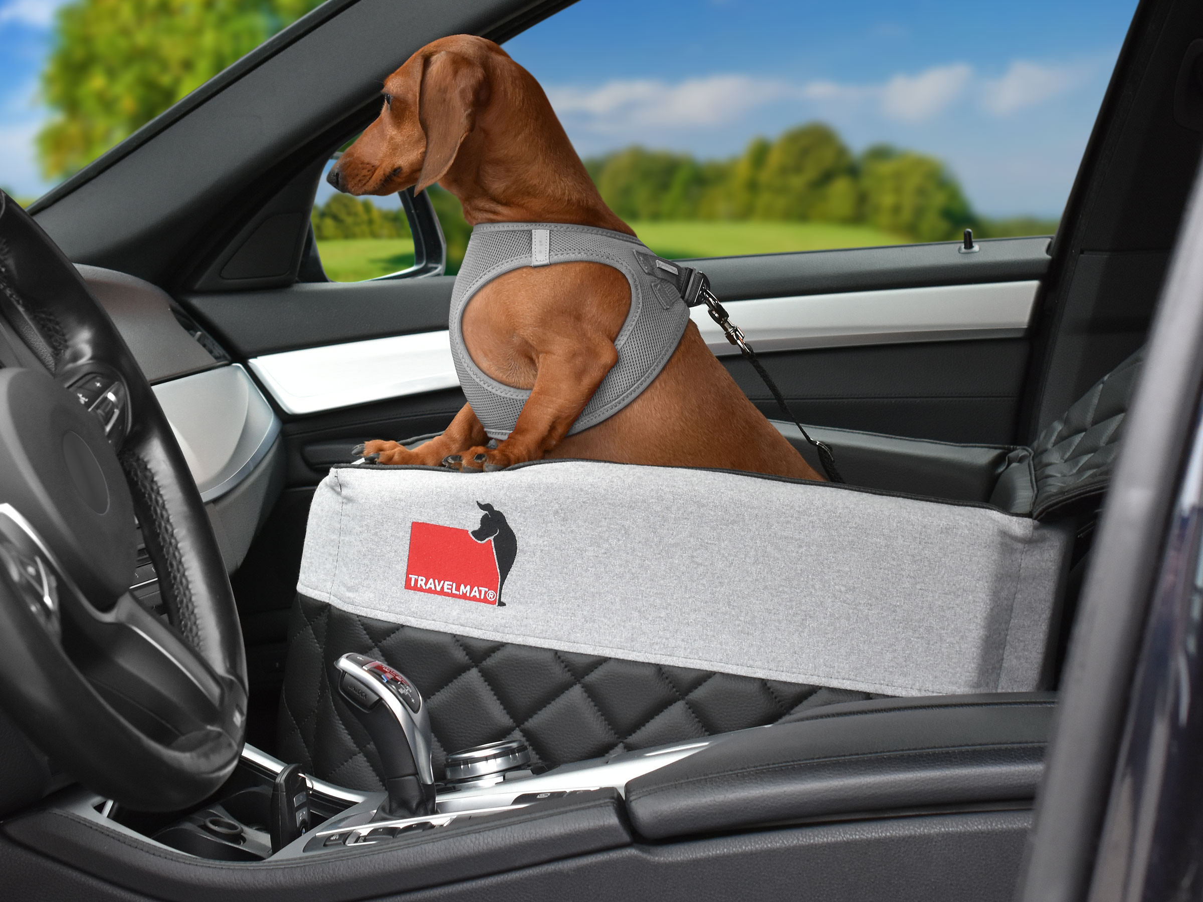 TIERVITAL NATURPRODUKTE - Auto Vordersitz ONE Hundebett
