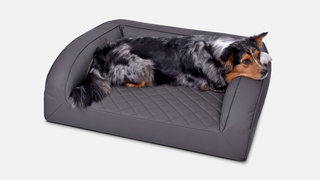 TIERVITAL NATURPRODUKTE - stylishes, robustes, pflegeleichtes Hundebett Flo  Select + gestepptes Kunstleder in grau