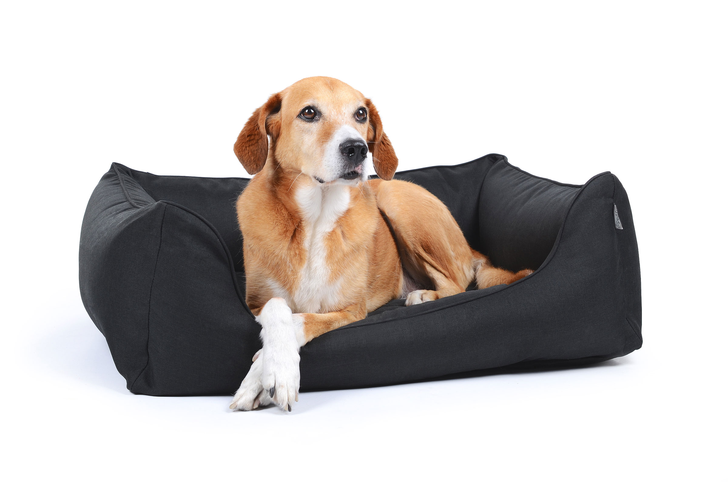 Worldcollection Hundebett Aus Kunstleder – Bequem & Leicht Zu Reinigen