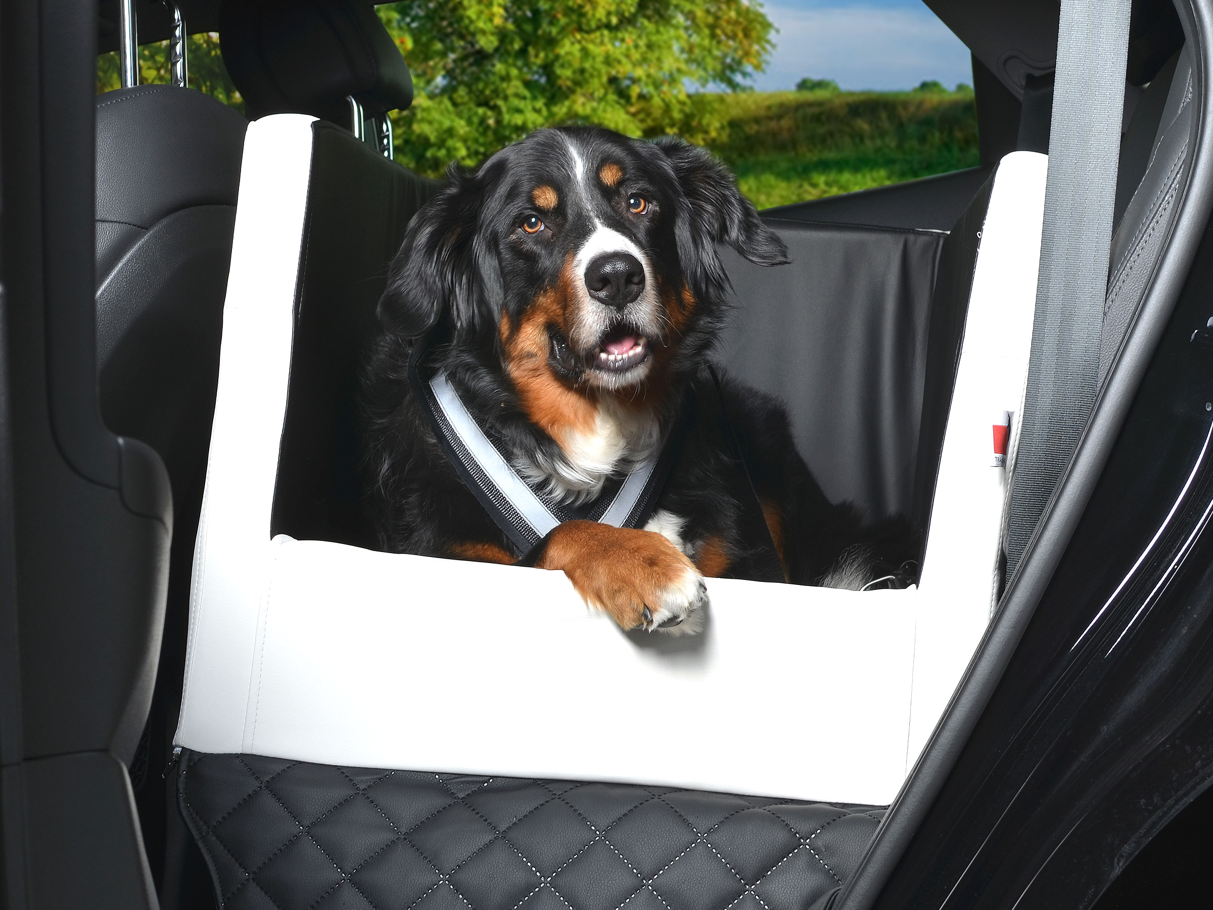 TIERVITAL NATURPRODUKTE - pflegeleichter Auto Rücksitz Hundekorb