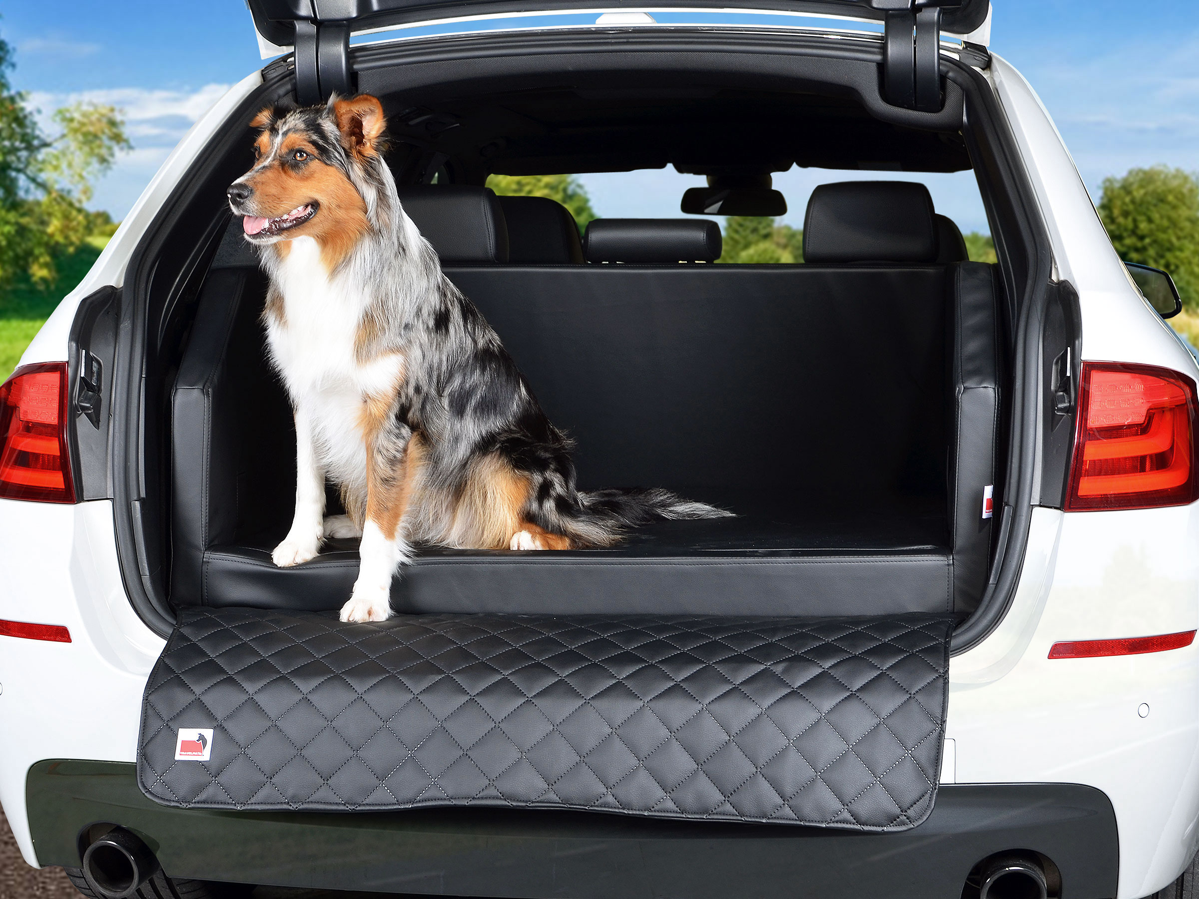 BMW Hunde Auto Kofferraumbett