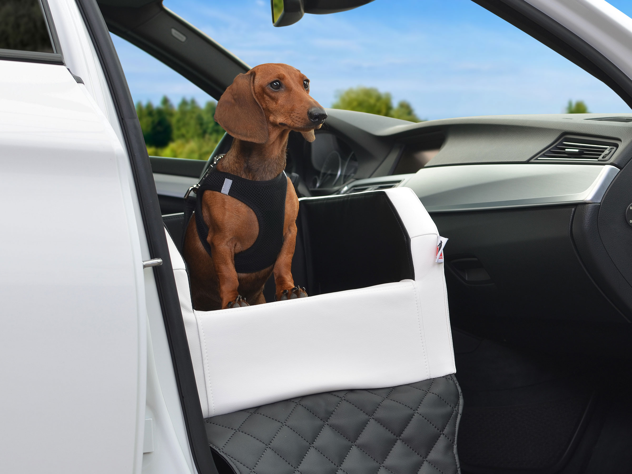 TIERVITAL NATURPRODUKTE - Auto Hundebett Travelmat Plus Kunstleder 110x90  schwarz