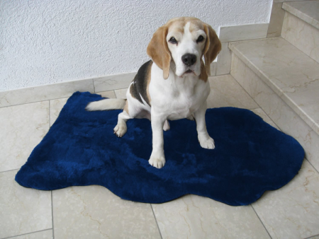 Lammfell Hundedecke Patchwork blau