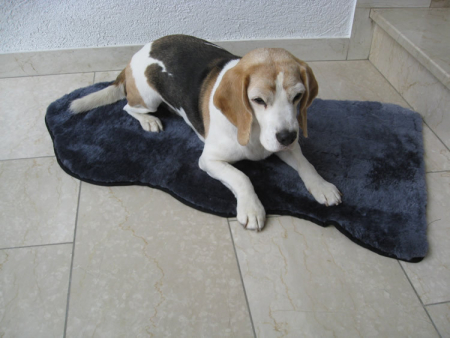Lammfell Hundedecke Patchwork grau