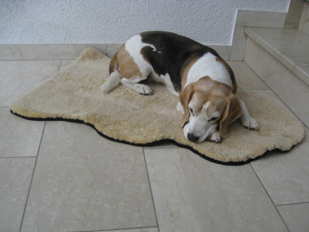 Lammfell Hundedecke Patchwork gobi