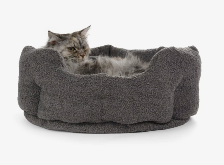 Katzenbett_camino