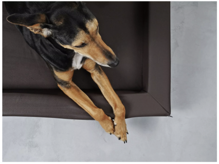 Harko Hundebett Kunstleder braun