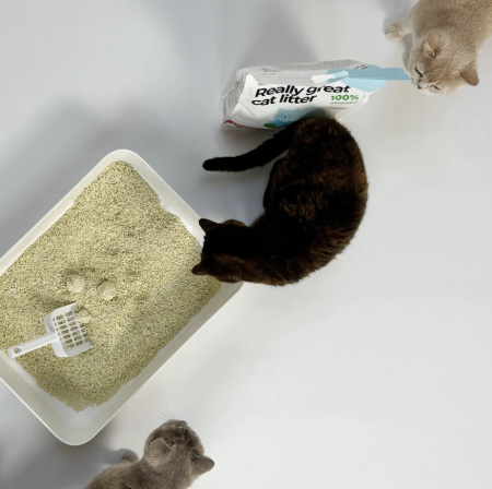 Katzenstrez Umweltfreundlicher zum Runterspülen