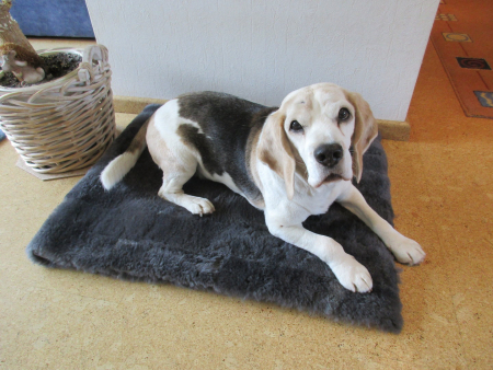 Lammfell Hundedecke Patchwork 140x60cm anthrazit grau
