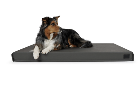 Solana Hundematte aus Kunstleder grau