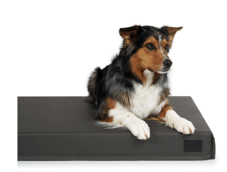 Solana Hundematte aus Kunstleder grau