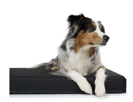 Solana Hundematte aus Kunstleder schwarz