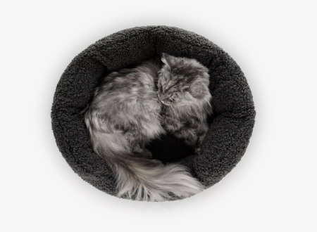 Katzenbett_camino