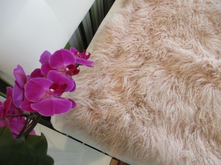 Tibet Lammfell Bettauflage hell beige
