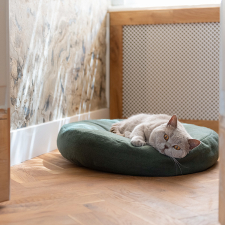 Katzenkissen_Donut
