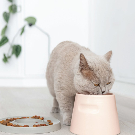 Keramiknapf Trink und Futternapf für Katzen