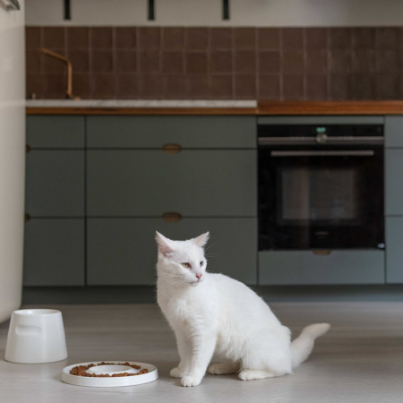 Keramiknapf Trink und Futternapf für Katzen