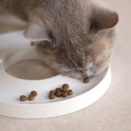Keramiknapf Futternapf für Katzen