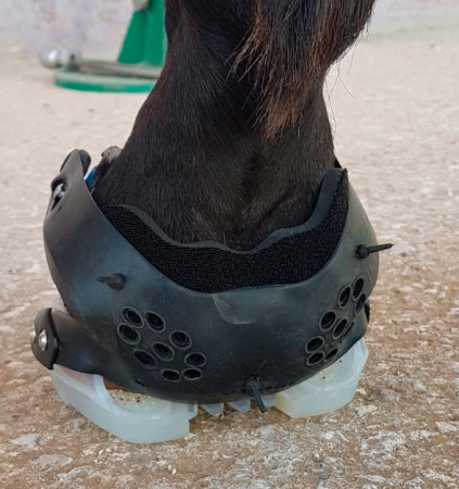Hufschuh Floating Boot Trainer 2019