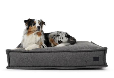 Hundekissen Flow TEDDY in ANTHRAZIT