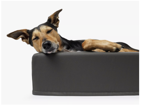 Harko Hundebett Kunstleder grau