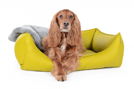 Hundebett Dreamcollection Kunstleder 90x70 cm kiwi