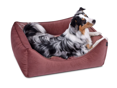 Hundebett Dreamcollection MF-Line 90x70 cm blush