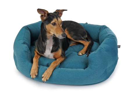Fancy Hundebett mono türkis