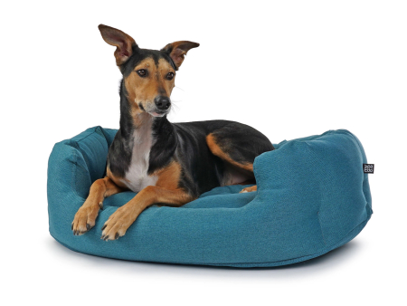 Fancy Hundebett mono türkis