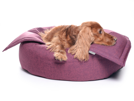K-Nax Hundebett Softline 75 cm violett