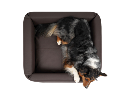 Quadro Select+  Hundesofa  75 x 75 cm braun