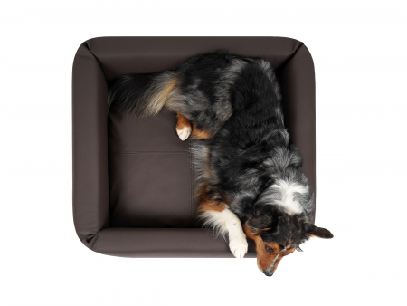 Quadro Select+  Hundesofa  95 x 95 cm braun