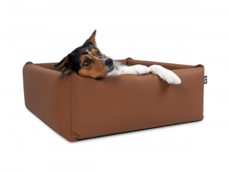 Quadro Select+  Hundesofa  75 x 75 cm kupfer