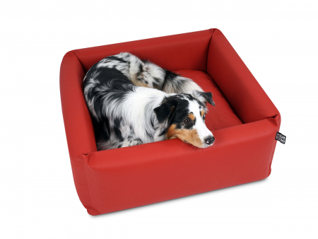Quadro Select+  Hundesofa  55 x 55 cm rot