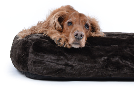 Hundebett Spring Fake Fur 90x70 cm braun