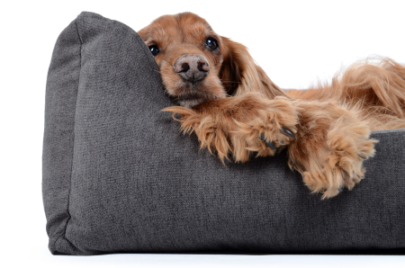 Hundebett Worldcollection Comfort 90x70 cm grau