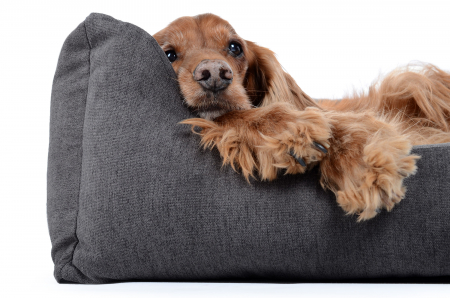 Hundebett Worldcollection Comfort 110x90 cm grau