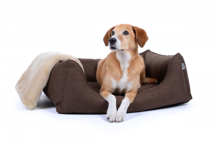 Hundebett Worldcollection Softline 110x90 cm braun