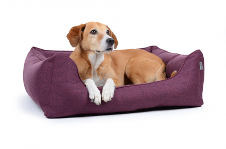 Hundebett Worldcollection Softline 110x90 cm violett