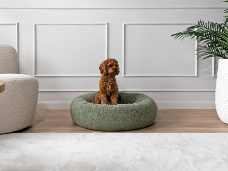 Hundebett Woolly grün