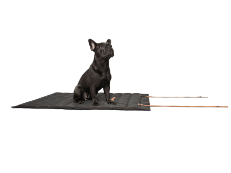 Roll-up-Hundematte Stockholm Monoline anthrazit
