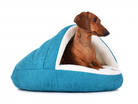 Hundebett Shell Comfort 90x90 cm türkis-1