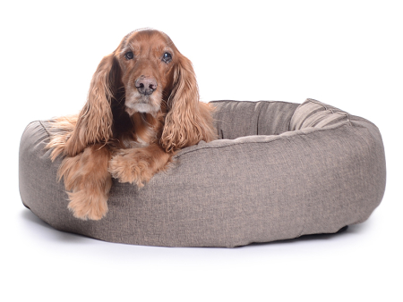 K-Nax Hundebett Softline 75 cm creme