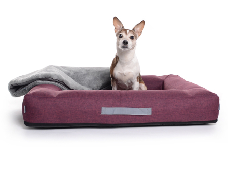Montreal Hundebett Softline 130x110 cm violett