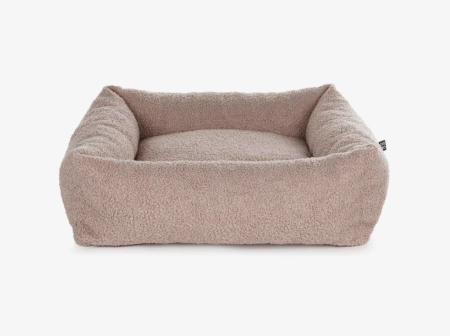 rosa_Teddy_Sena_tiervital_naturprodukte
