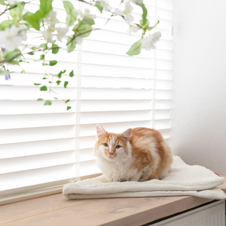 Nach einem Spiel- und Kuscheltag ist es für Ihre Katze schön, sich zu entspannen. Mit dieser Katzendecke sind alle Katzensorgen vergessen. Sie kann sich gemütlich zusammenrollen und hat den perfekten, weichen Platz für ein warmes Nickerchen