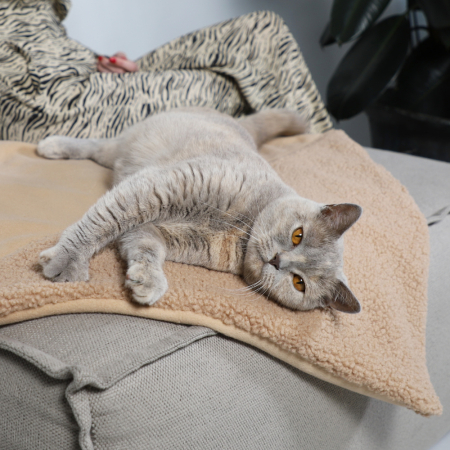 Nach einem Spiel- und Kuscheltag ist es für Ihre Katze schön, sich zu entspannen. Mit dieser Katzendecke sind alle Katzensorgen vergessen. Sie kann sich gemütlich zusammenrollen und hat den perfekten, weichen Platz für ein warmes Nickerchen