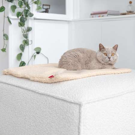 Nach einem Spiel- und Kuscheltag ist es für Ihre Katze schön, sich zu entspannen. Mit dieser Katzendecke sind alle Katzensorgen vergessen. Sie kann sich gemütlich zusammenrollen und hat den perfekten, weichen Platz für ein warmes Nickerchen